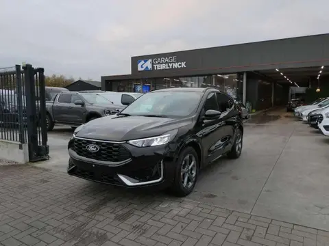 Annonce FORD KUGA Essence 2024 d'occasion 