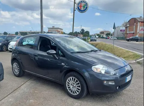 Used FIAT PUNTO Petrol 2015 Ad 