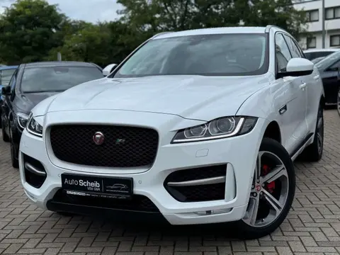 Annonce JAGUAR F-PACE Diesel 2017 d'occasion 