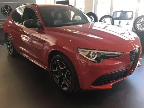 Used ALFA ROMEO STELVIO Diesel 2020 Ad 