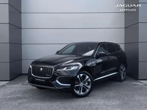 Used JAGUAR F-PACE  2024 Ad 