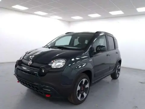 Annonce FIAT PANDA Hybride 2023 d'occasion 