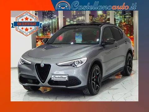 Annonce ALFA ROMEO STELVIO Diesel 2019 d'occasion 