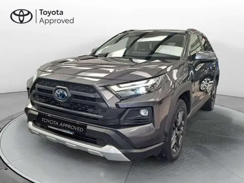 Used TOYOTA RAV4 Hybrid 2022 Ad 