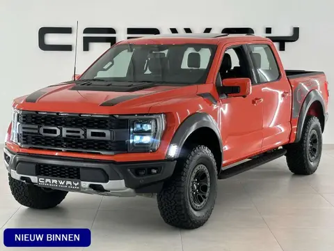 Annonce FORD F150 Essence 2024 d'occasion 