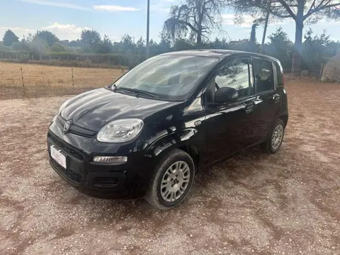 Annonce FIAT PANDA Essence 2019 d'occasion 