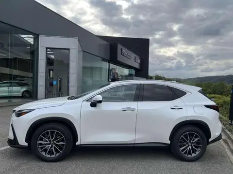 Used LEXUS NX Hybrid 2024 Ad 