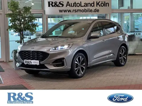 Used FORD KUGA Hybrid 2021 Ad 