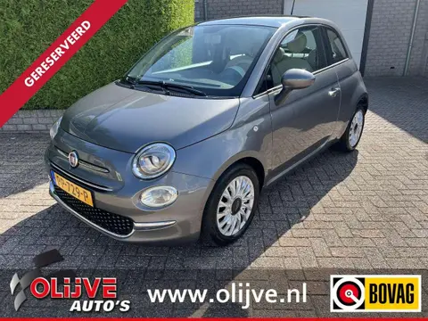 Used FIAT 500 Petrol 2017 Ad 