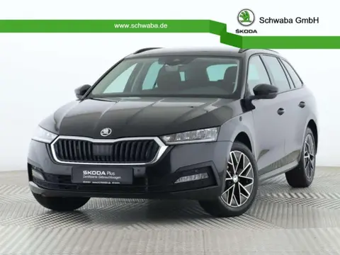 Used SKODA OCTAVIA Petrol 2024 Ad 