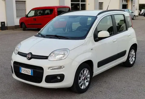 Used FIAT PANDA LPG 2019 Ad 