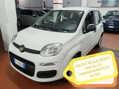 Annonce FIAT PANDA Essence 2019 d'occasion 