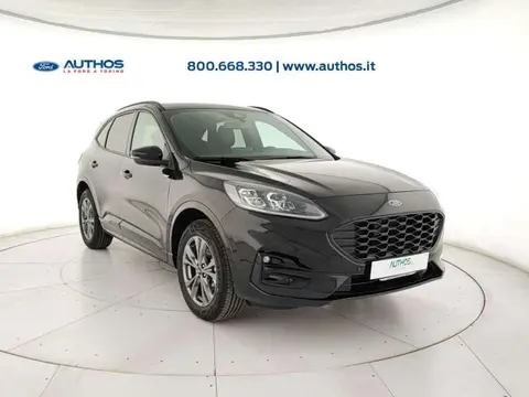 Used FORD KUGA Hybrid 2024 Ad 