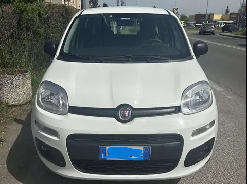 Annonce FIAT PANDA  2019 d'occasion 