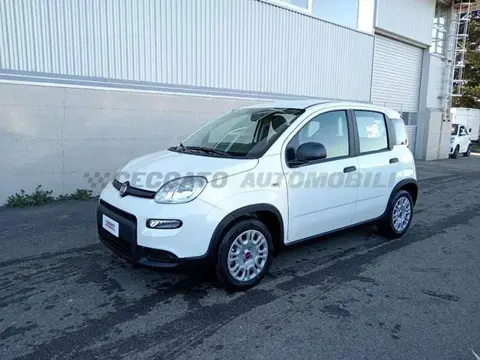 Annonce FIAT PANDA Hybride 2024 d'occasion 