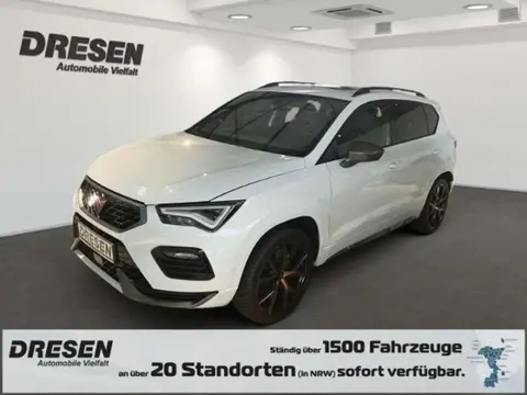 Used CUPRA ATECA Petrol 2021 Ad 