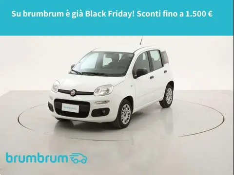 Annonce FIAT PANDA Essence 2019 d'occasion 