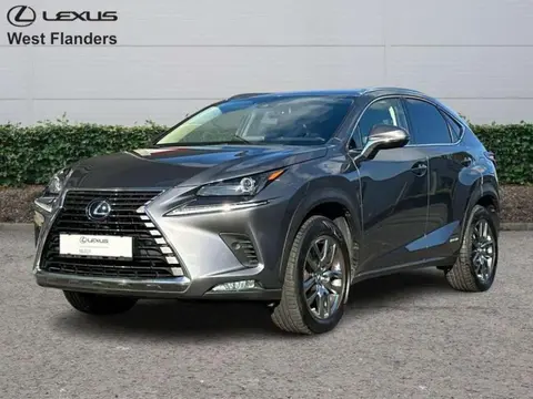 Annonce LEXUS NX Hybride 2021 d'occasion 