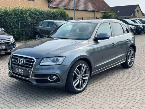 Used AUDI SQ5 Diesel 2015 Ad 