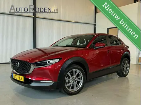 Used MAZDA CX-30 Petrol 2020 Ad 