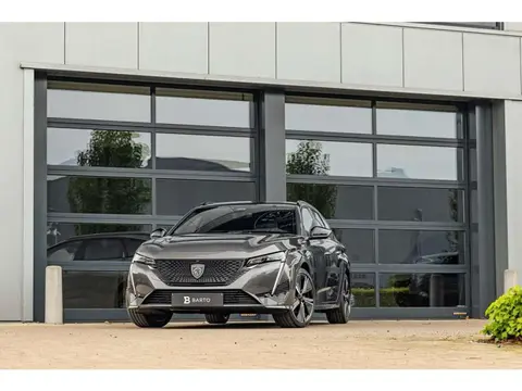 Annonce PEUGEOT 308 Essence 2023 d'occasion 