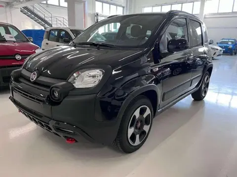 Used FIAT PANDA Hybrid 2024 Ad 