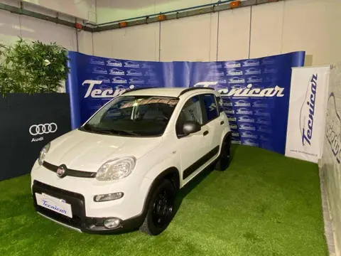 Used FIAT PANDA Petrol 2020 Ad Italy