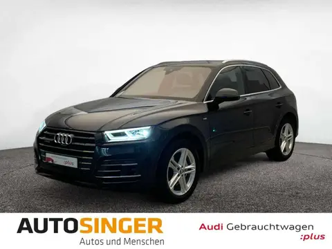 Used AUDI Q5 Hybrid 2021 Ad 