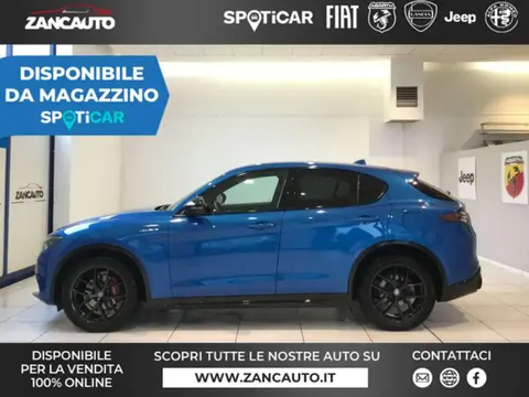 Annonce ALFA ROMEO STELVIO Diesel 2024 d'occasion 