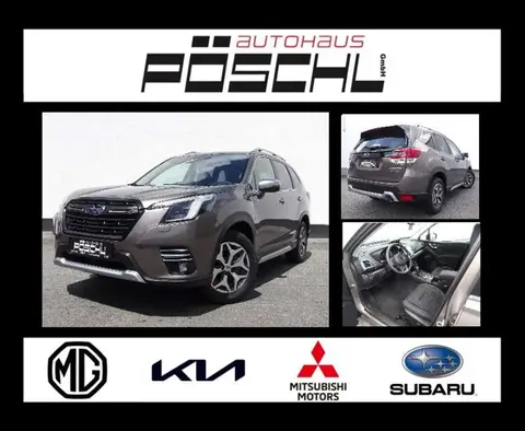 Annonce SUBARU FORESTER Essence 2024 d'occasion 