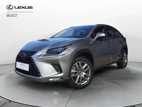 Used LEXUS NX Hybrid 2021 Ad 