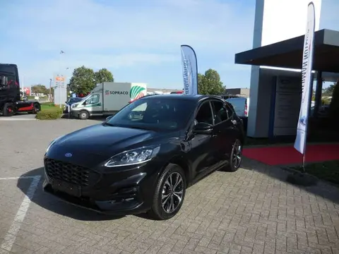 Used FORD KUGA Hybrid 2023 Ad 