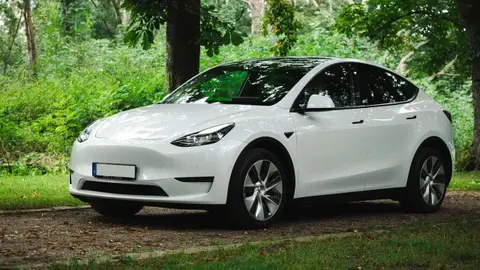 Annonce TESLA MODEL Y Électrique 2022 d'occasion 