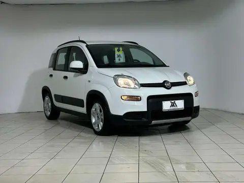 Used FIAT PANDA Hybrid 2023 Ad 