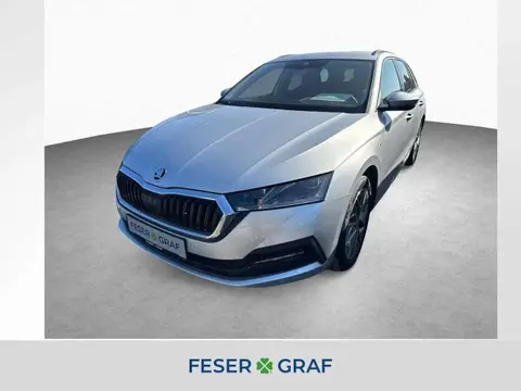 Annonce SKODA OCTAVIA Diesel 2023 d'occasion 