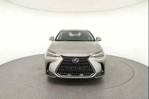 Annonce LEXUS NX Hybride 2023 d'occasion 