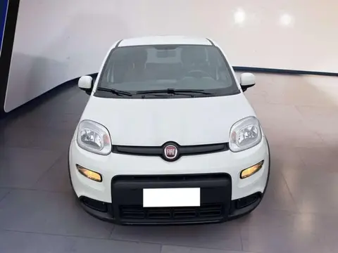 Used FIAT PANDA Hybrid 2022 Ad 