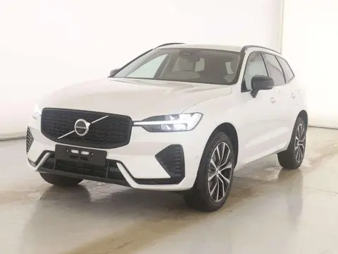 Annonce VOLVO XC60 Hybride 2023 d'occasion 