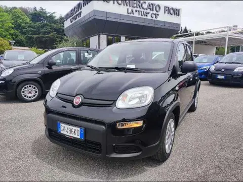 Used FIAT PANDA Hybrid 2024 Ad 