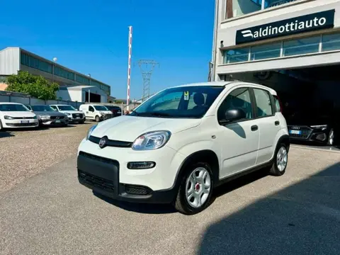 Annonce FIAT PANDA Hybride 2024 d'occasion 