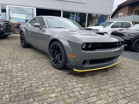 Annonce DODGE CHALLENGER Essence 2024 d'occasion 