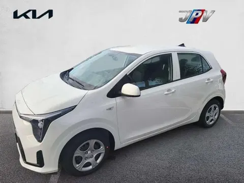 Used KIA PICANTO Petrol 2024 Ad 