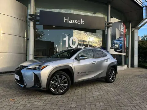 Used LEXUS UX Hybrid 2023 Ad 