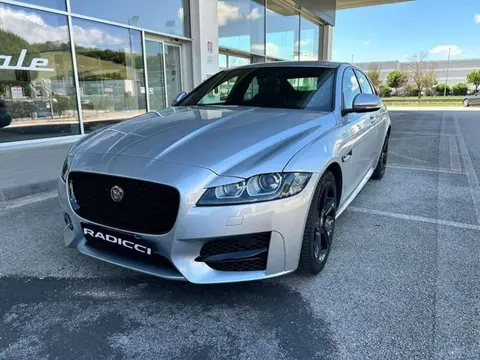 Annonce JAGUAR XF Diesel 2018 d'occasion 