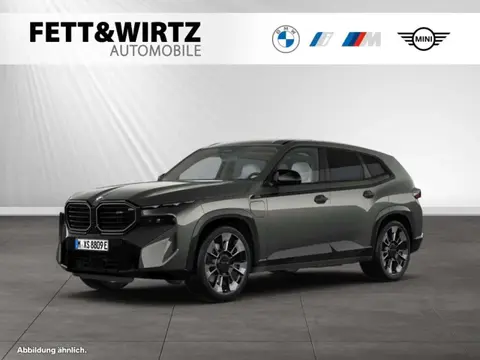 Annonce BMW XM Hybride 2023 d'occasion 