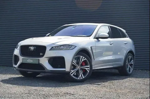 Used JAGUAR F-PACE Petrol 2019 Ad 