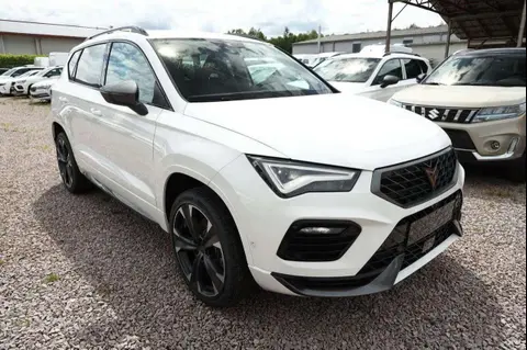 Annonce CUPRA ATECA Essence 2024 d'occasion 