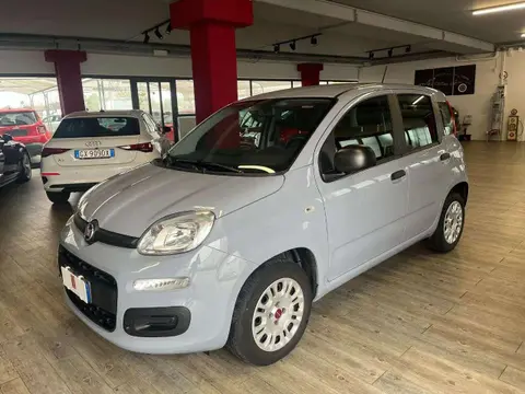 Used FIAT PANDA Petrol 2021 Ad 