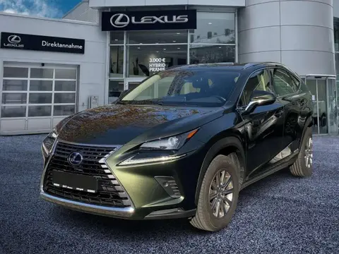 Annonce LEXUS NX Hybride 2021 d'occasion 