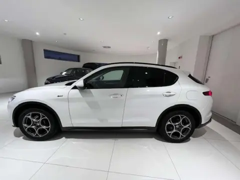 Annonce ALFA ROMEO STELVIO Diesel 2021 d'occasion 